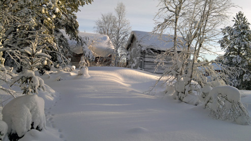 Vinter i Hörneå
